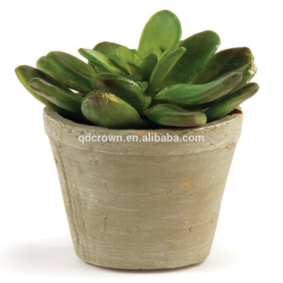 free samples Wholesale 4.5 inch Artificial Cabbage Succulent Potted in Clay Pot