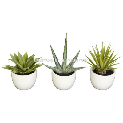 Wholesale Artificial Succulent Plant,Indoor Silk Mini Agave Succulent Plants