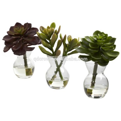 free samples Wholesale Artificial Succulent Plant,mini flowering rubber tropical plants artificial succulent